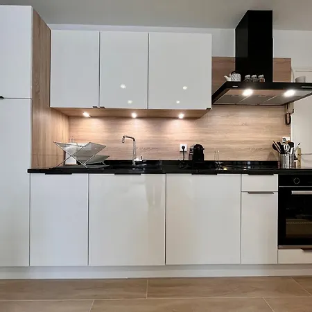 Apartment Lumineux 2 Pieces, Coeur De Saint-jean-de-luz, Proche Et Commerces, Avec Wifi - Fr-1-239-1002